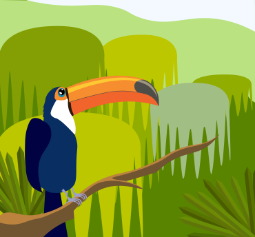 Toucan, flat design